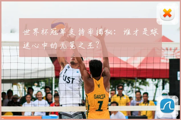 世界杯冠军支持率揭秘：谁才是球迷心中的无冕之王？