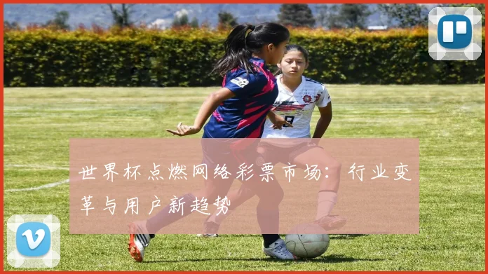 世界杯点燃网络彩票市场：行业变革与用户新趋势