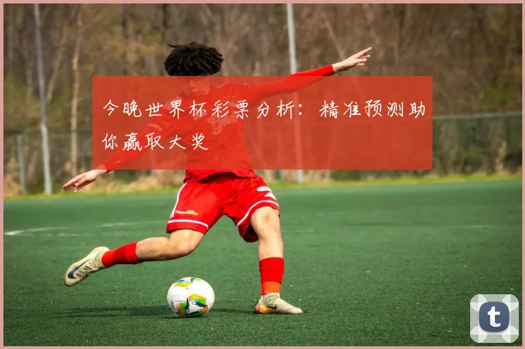今晚世界杯彩票分析:精准预测助你赢取大奖