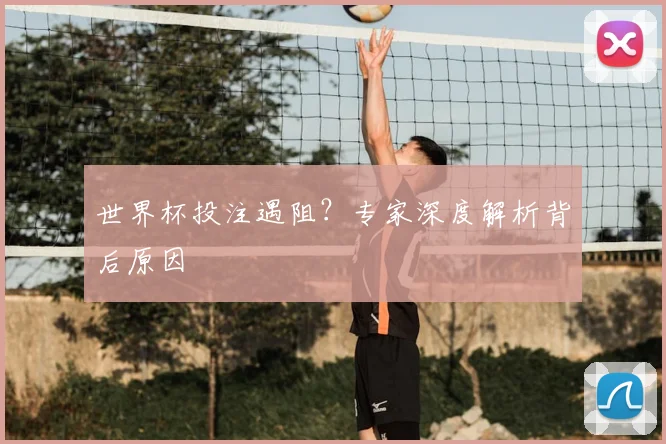 世界杯投注遇阻?专家深度解析背后原因