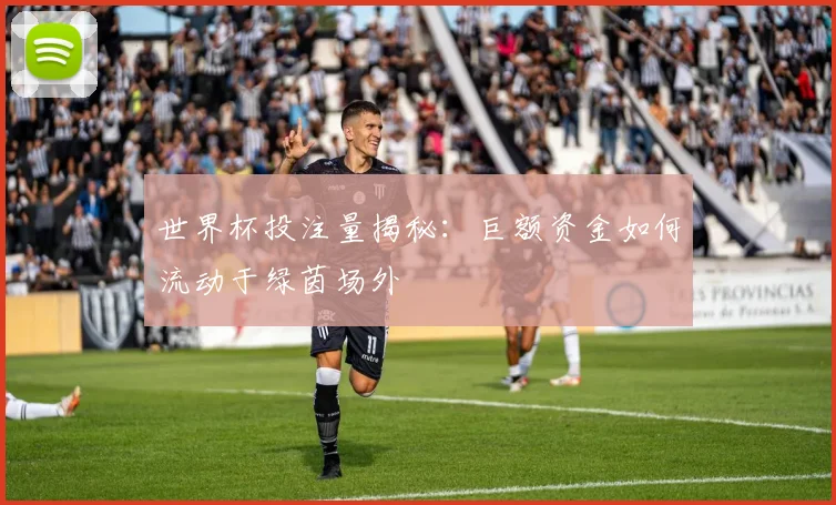世界杯投注量揭秘:巨额资金如何流动于绿茵场外