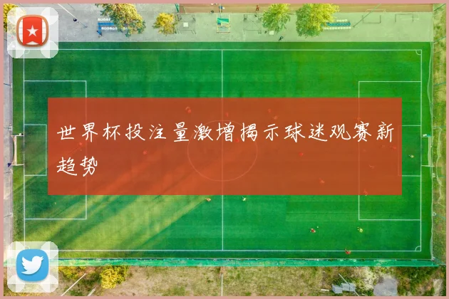 世界杯投注量激增揭示球迷观赛新趋势