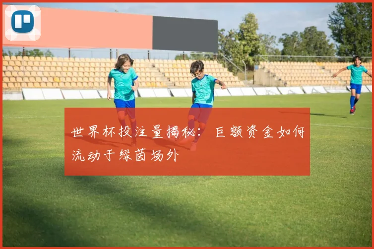 世界杯投注量揭秘:巨额资金如何流动于绿茵场外