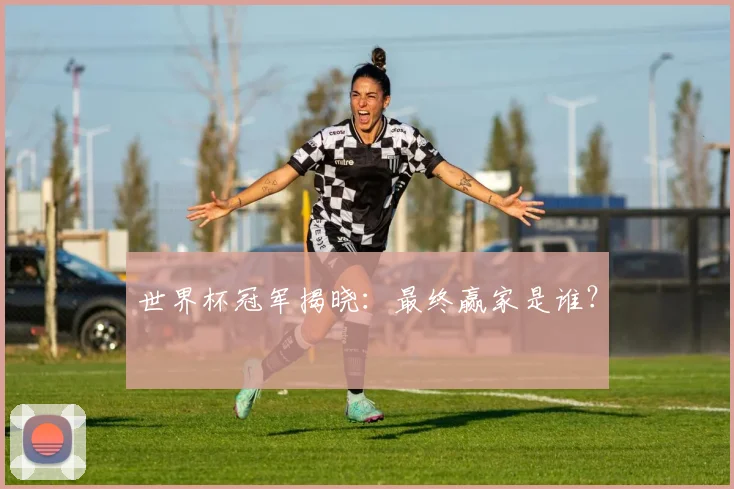 世界杯冠军揭晓:最终赢家是谁?